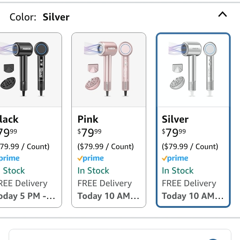 Premium Silver Hair Dryer